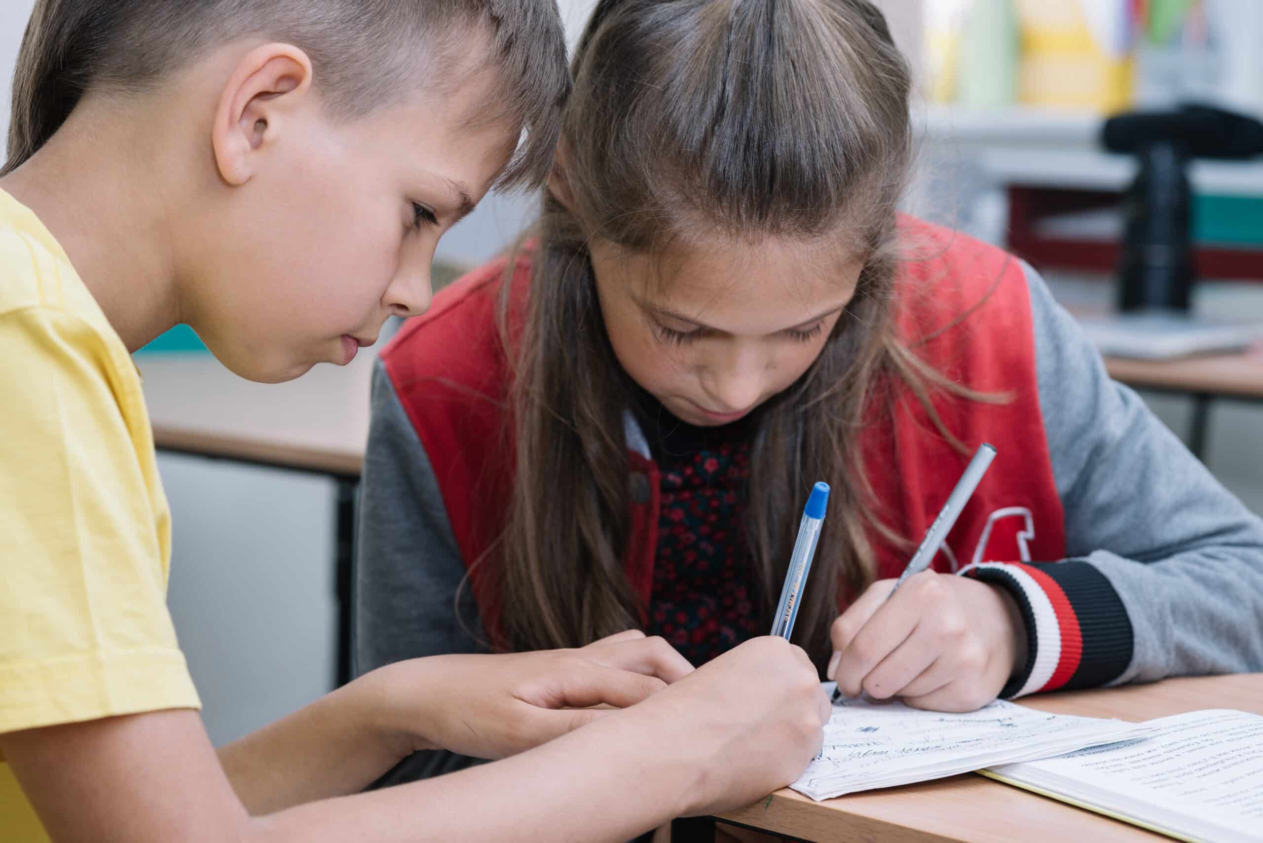 Twee schoolvrienden maken samen huiswerk. Onder andere over hoofdzinnen en bijzinnen
