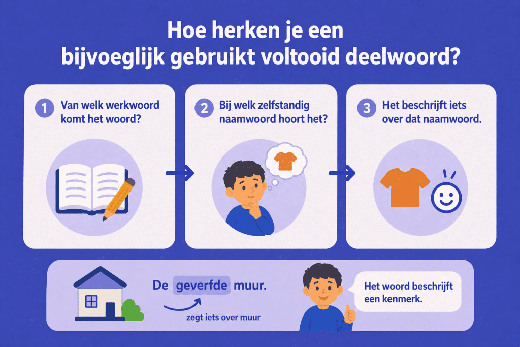 Eenvoudige infographic die laat zien hoe je een bijvoeglijk gebruikt voltooid deelwoord herkent door te kijken naar het werkwoord en het zelfstandig naamwoord in de zin