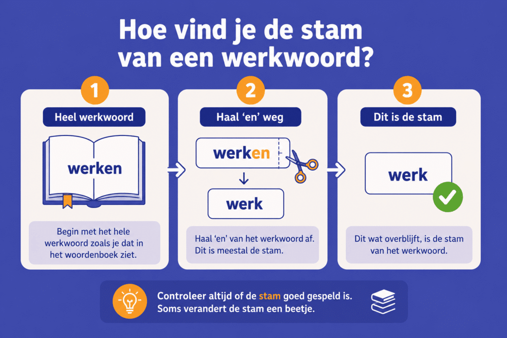 Educatieve illustratie die stap voor stap laat zien hoe je de stam van een werkwoord vindt door en van het hele werkwoord af te halen, met voorbeelden zoals werken naar werk.