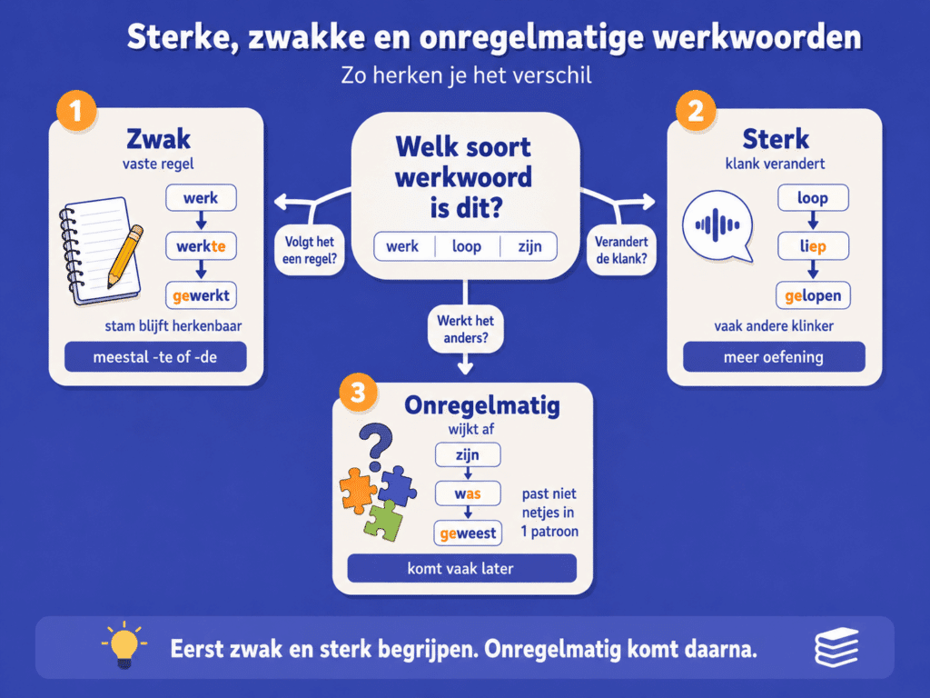 Infographic over sterke, zwakke en onregelmatige werkwoorden, met een schema dat laat zien of een werkwoord een vaste regel volgt, van klank verandert of afwijkt van het gewone patroon.