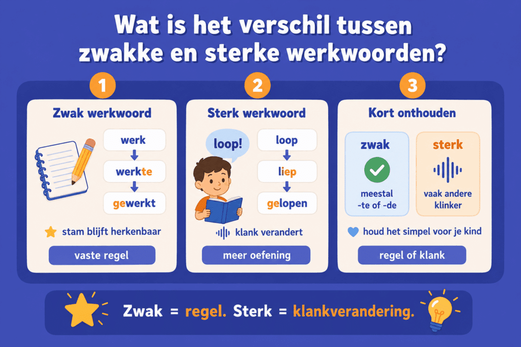 Infographic over het verschil tussen zwakke en sterke werkwoorden, met voorbeelden van werk, werkte, gewerkt en loop, liep, gelopen.