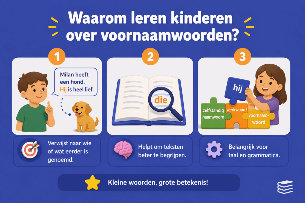 Infographic die laat zien waarom kinderen voornaamwoorden leren, met voorbeelden van verwijzen, begrijpend lezen en grammatica.