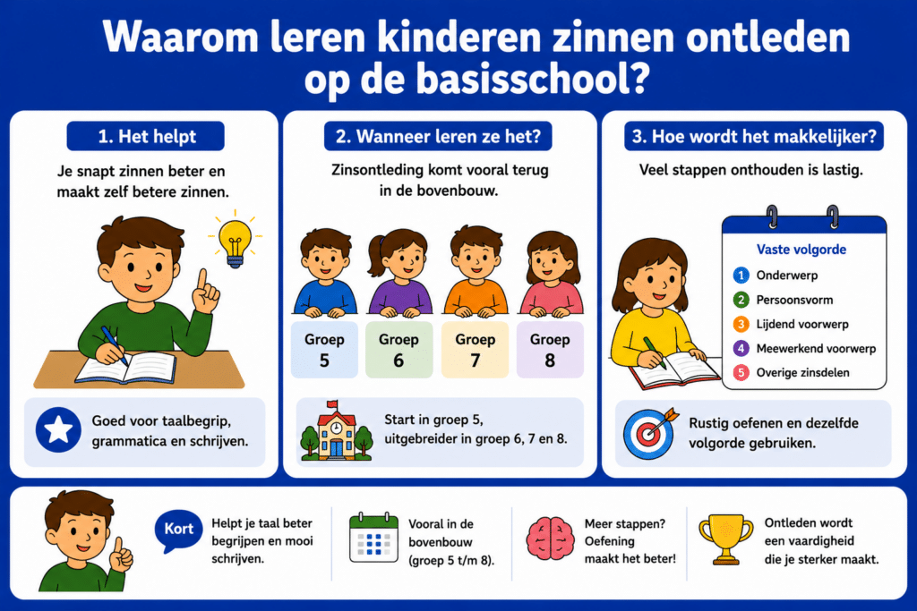 Eenvoudige educatieve illustratie die uitlegt waarom kinderen op de basisschool zinnen leren ontleden, met aandacht voor taalbegrip, grammatica, schrijven en rustig oefenen met een vaste volgorde.
