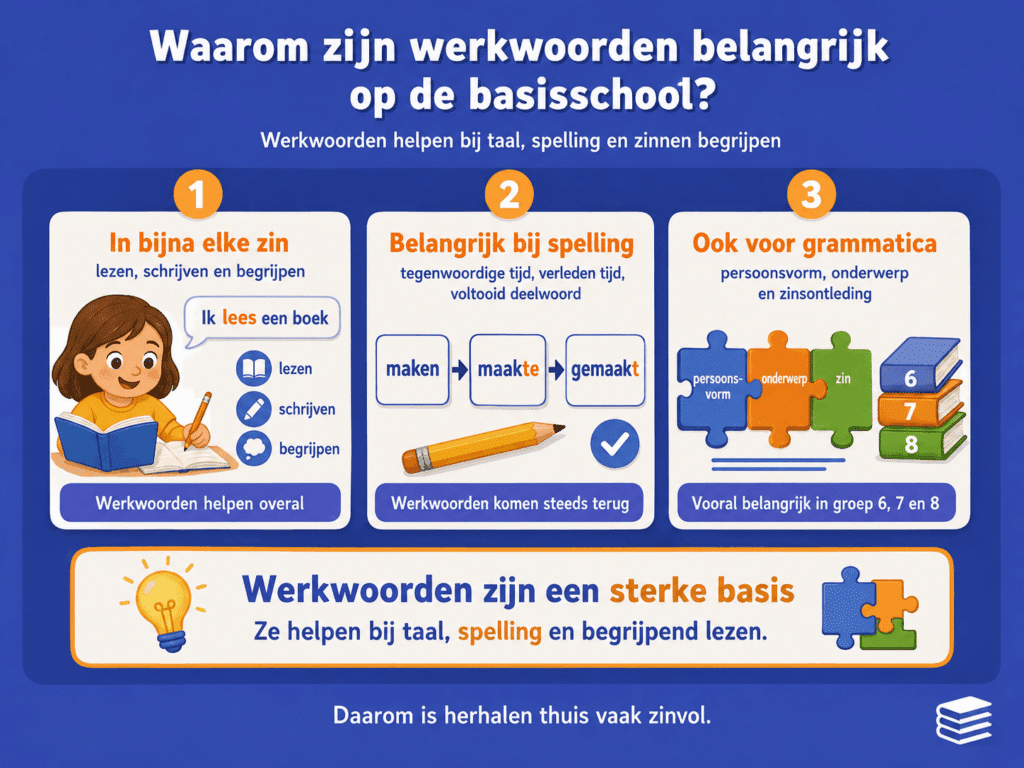 Infographic die uitlegt waarom werkwoorden belangrijk zijn op de basisschool. De afbeelding laat zien dat werkwoorden in bijna elke zin voorkomen, belangrijk zijn voor spelling en ook nodig zijn voor grammatica, zoals persoonsvorm, onderwerp en zinsontleding.