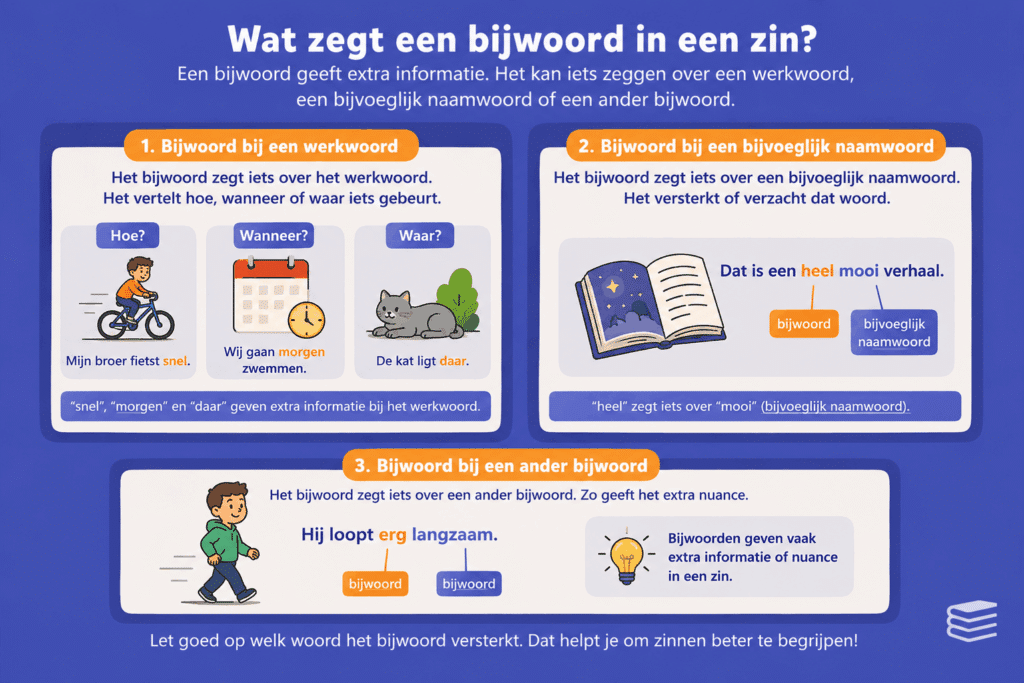 Infographic over bijwoorden in een zin met eenvoudige uitleg en voorbeelden van een bijwoord bij een werkwoord, bijvoeglijk naamwoord en ander bijwoord.