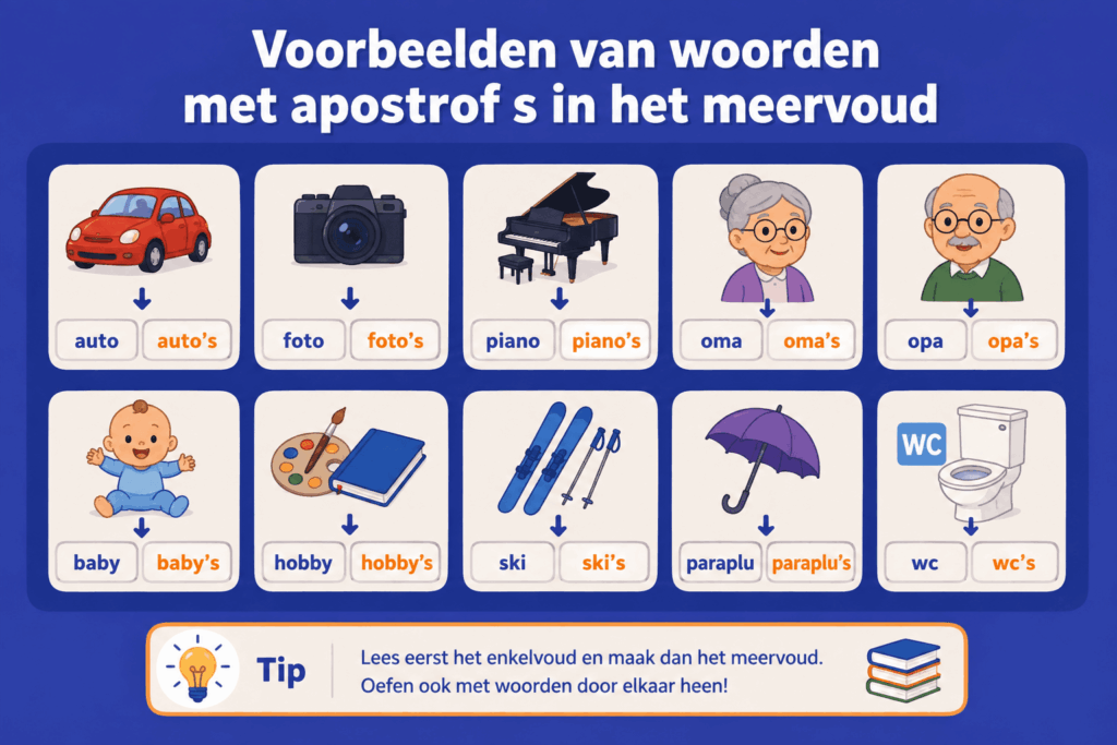 Educatieve infographic met voorbeelden van woorden die in het meervoud een apostrof s krijgen, zoals auto en auto’s, foto en foto’s, piano en piano’s, baby en baby’s, en wc en wc’s.