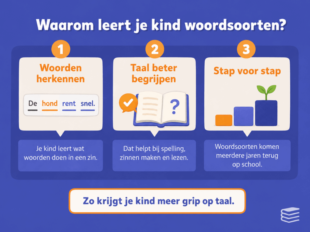 Infographic die uitlegt waarom kinderen woordsoorten leren op de basisschool, met aandacht voor woorden herkennen, taal beter begrijpen, spelling toepassen en stap voor stap meer grip krijgen op zinnen.