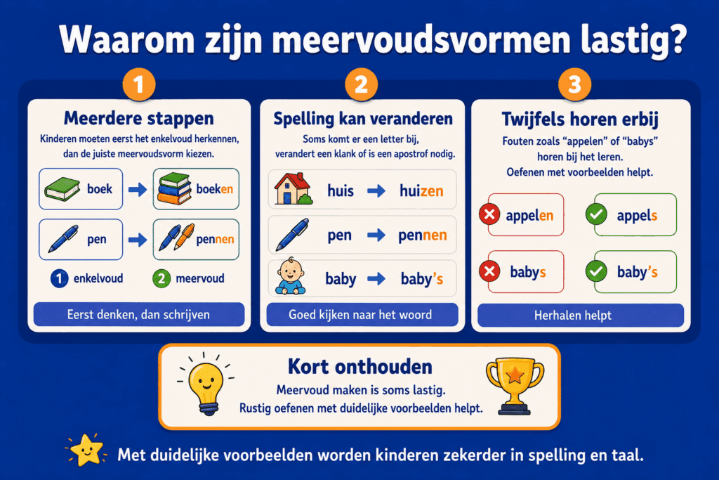 Educatieve infographic voor kinderen over waarom meervoudsvormen soms lastig zijn. De afbeelding laat zien dat kinderen eerst het enkelvoud herkennen, daarna de juiste meervoudsvorm kiezen en rekening houden met spellingveranderingen, zoals bij huis huizen, pen pennen en baby baby’s.