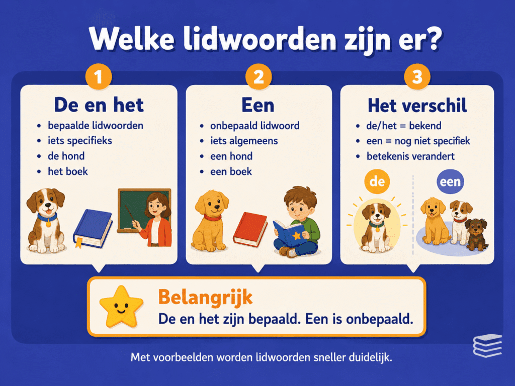 Infographic die het verschil uitlegt tussen de bepaalde lidwoorden de en het en het onbepaalde lidwoord een.